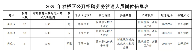 2025河北省承德市双桥区人力资源和社会保障局招聘28人公告